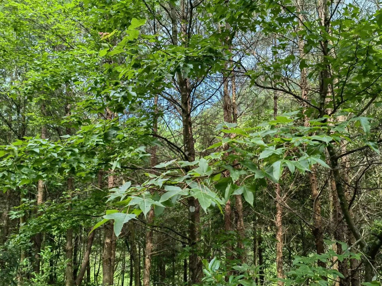 微信圖片_20230607152549.jpg 微信圖片_20230607152549.jpg