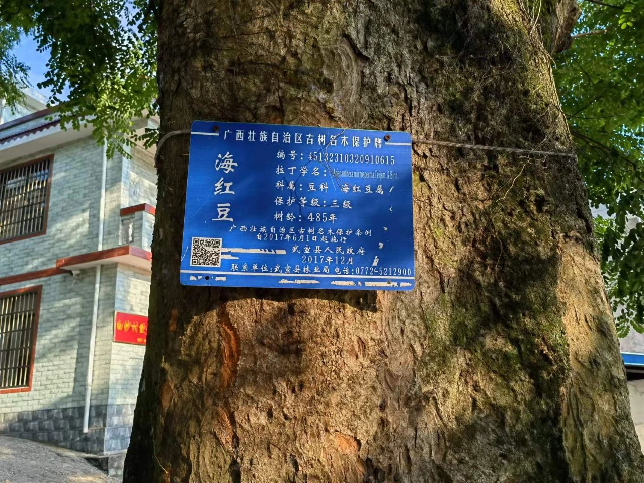 微信圖片_20230607152553.jpg 微信圖片_20230607152553.jpg